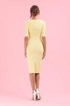 Charlotte Mid Sleeve Pencil Dress