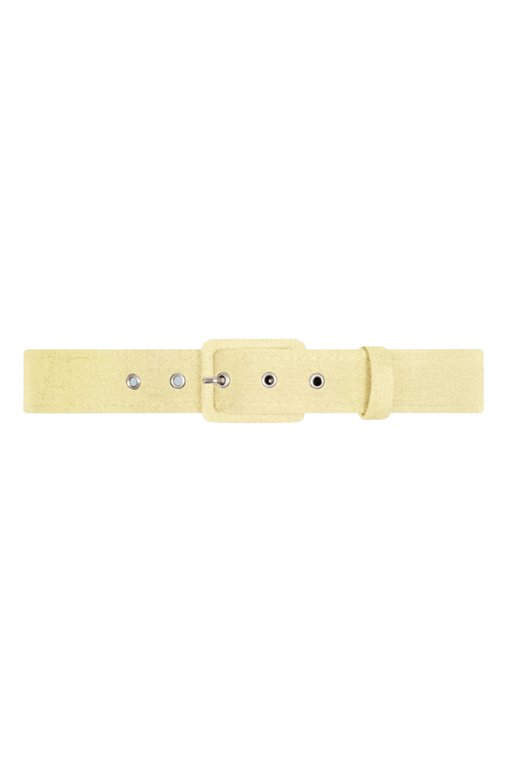TPDC Classic Belt