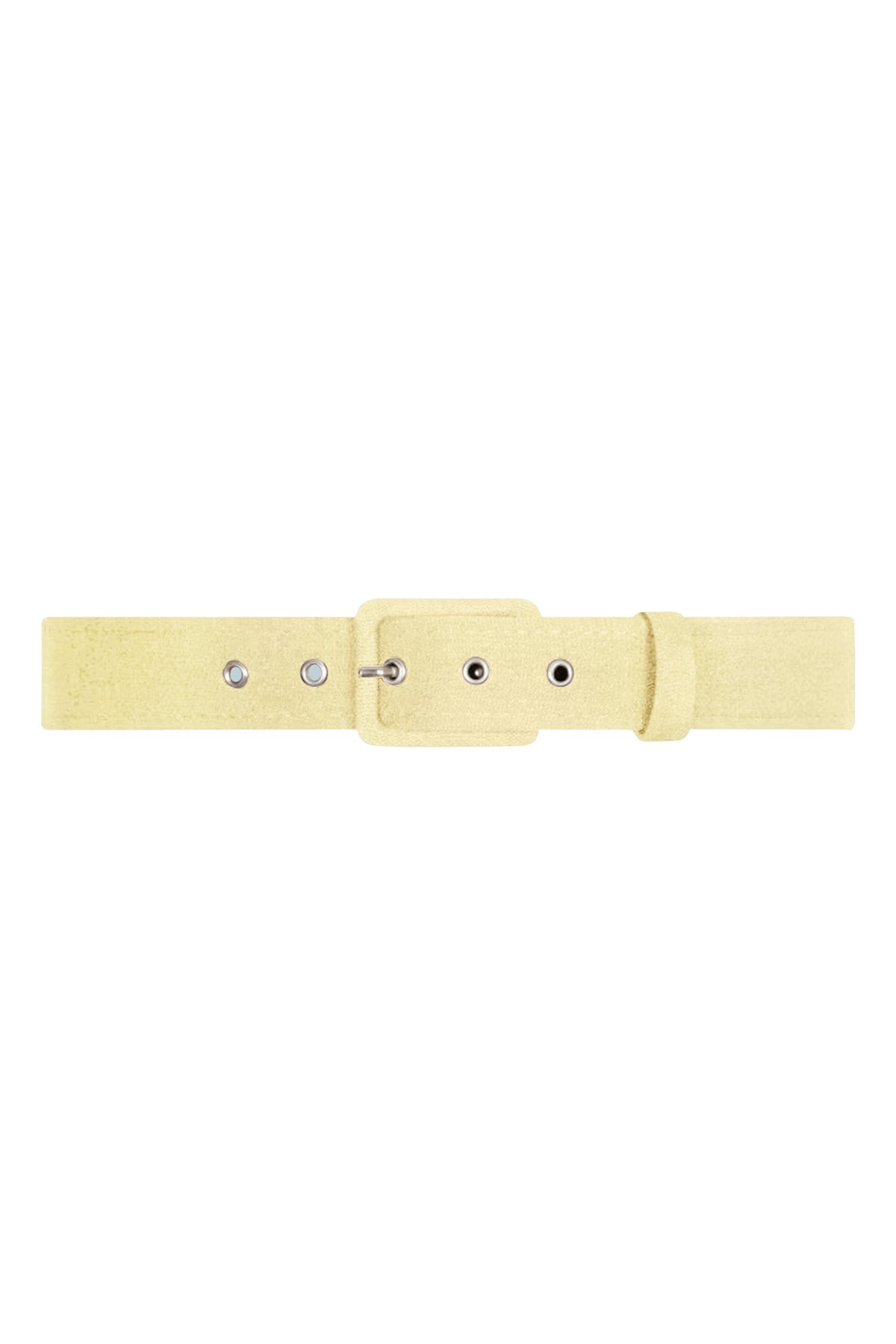 TPDC Classic Belt