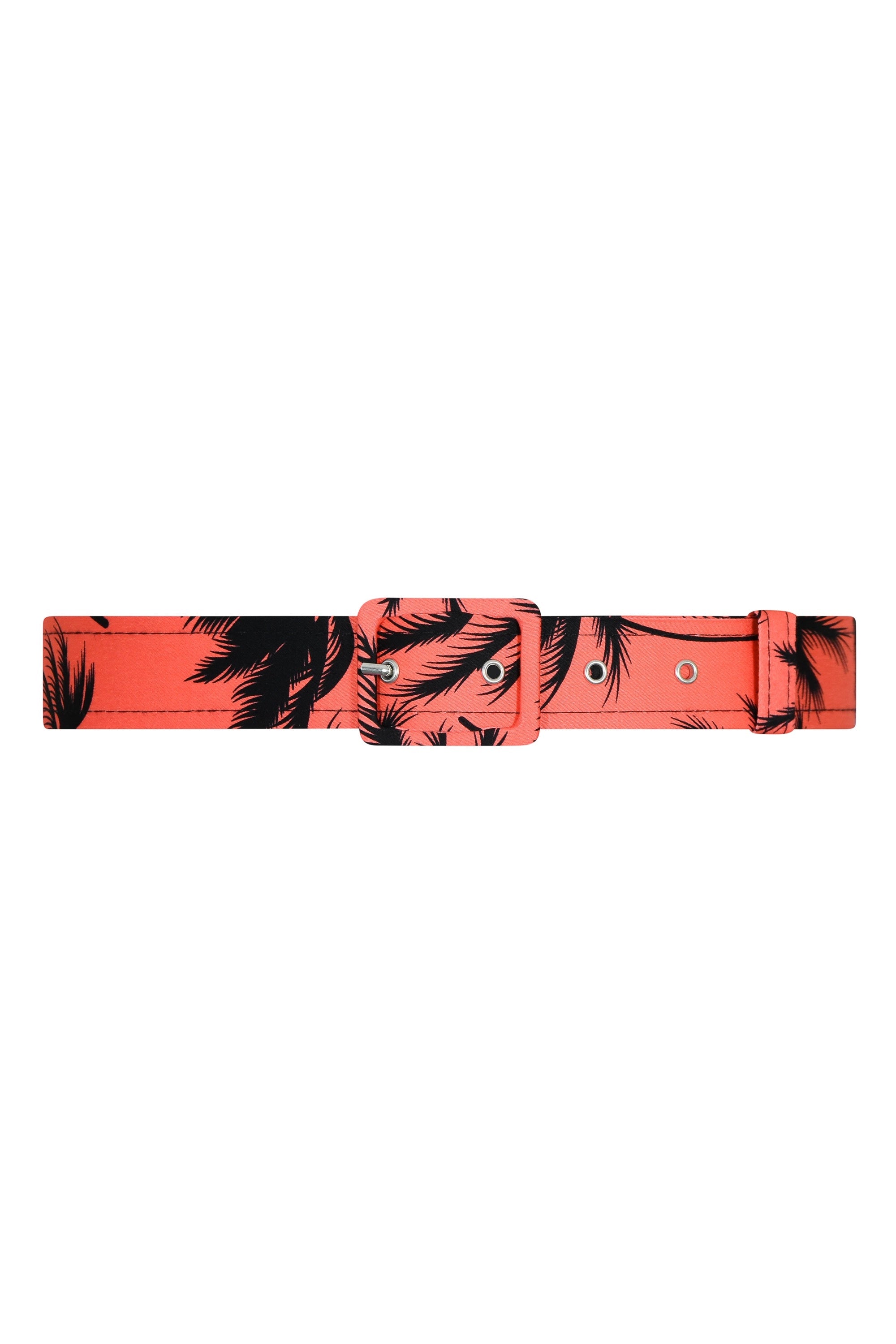 TPDC Classic Belt
