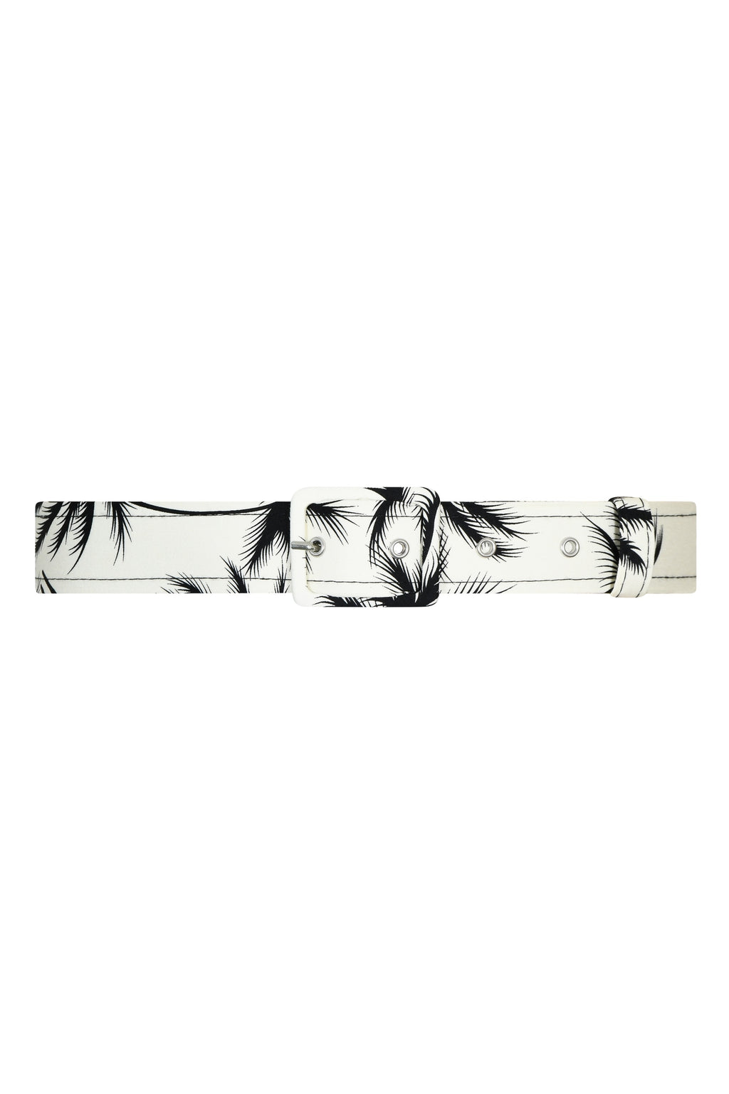 TPDC Classic Belt