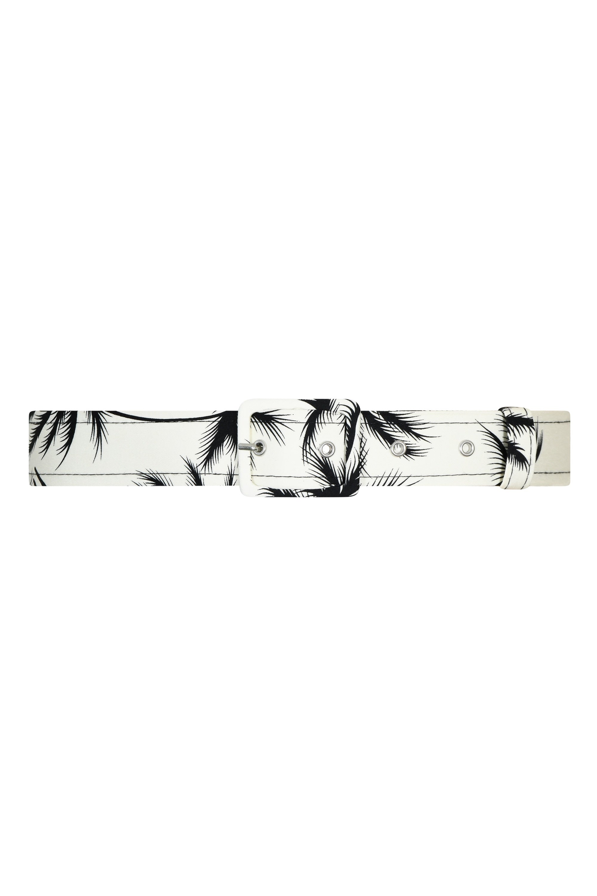 TPDC Classic Belt
