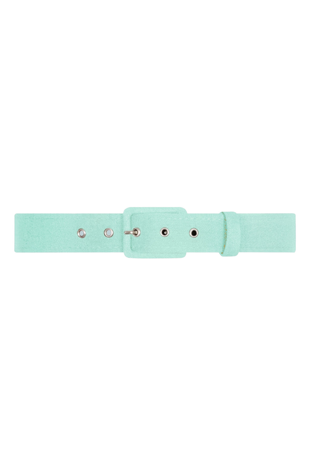 TPDC Classic Belt