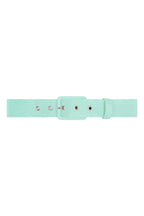 TPDC Classic Belt