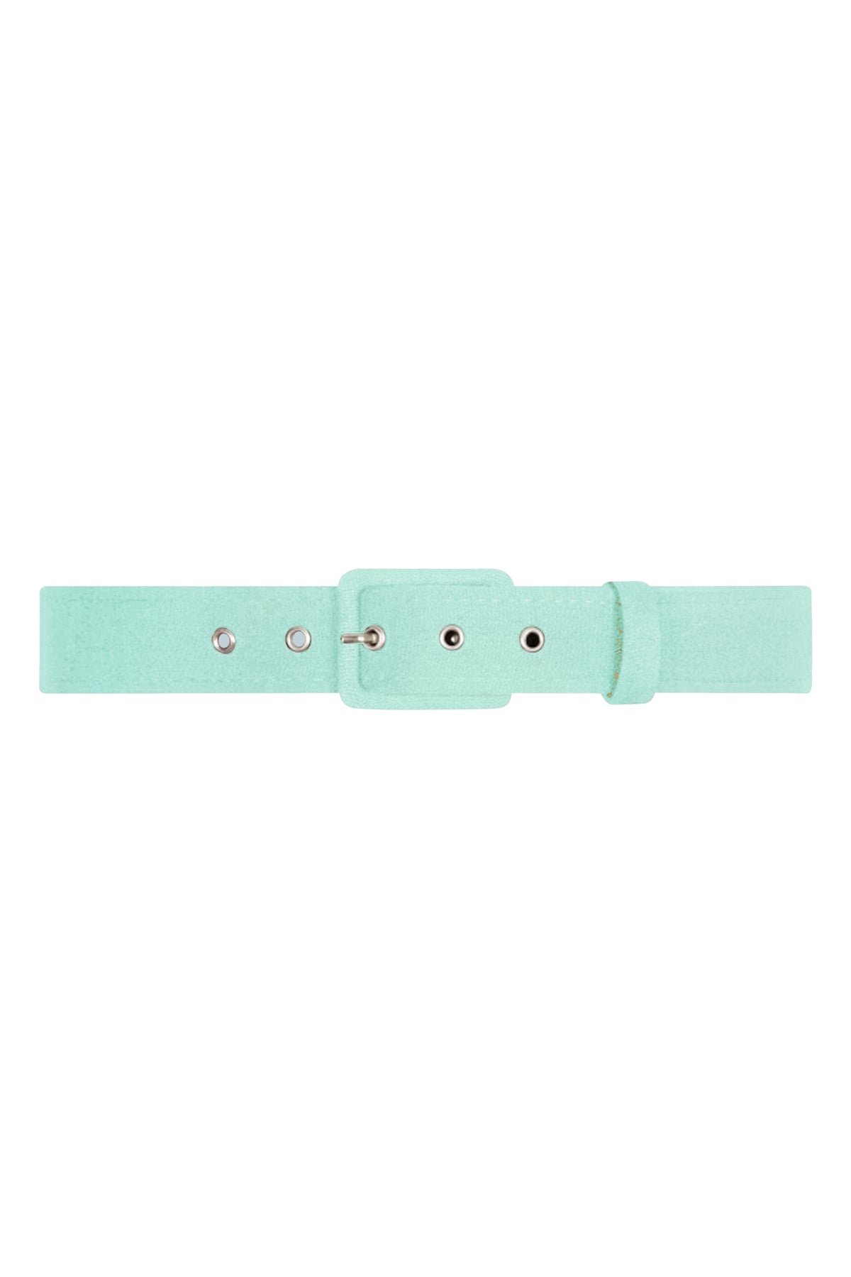 TPDC Classic Belt