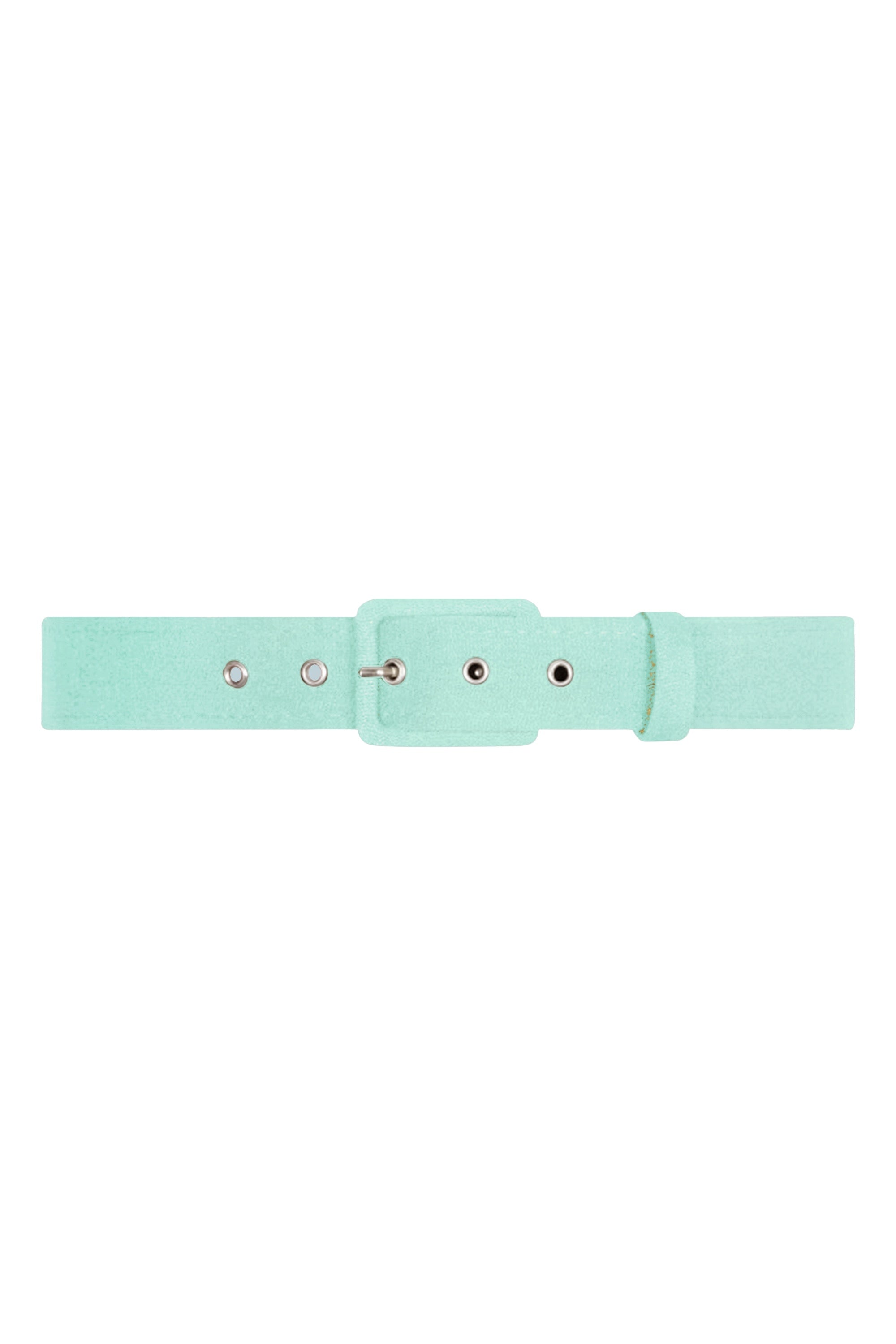 TPDC Classic Belt