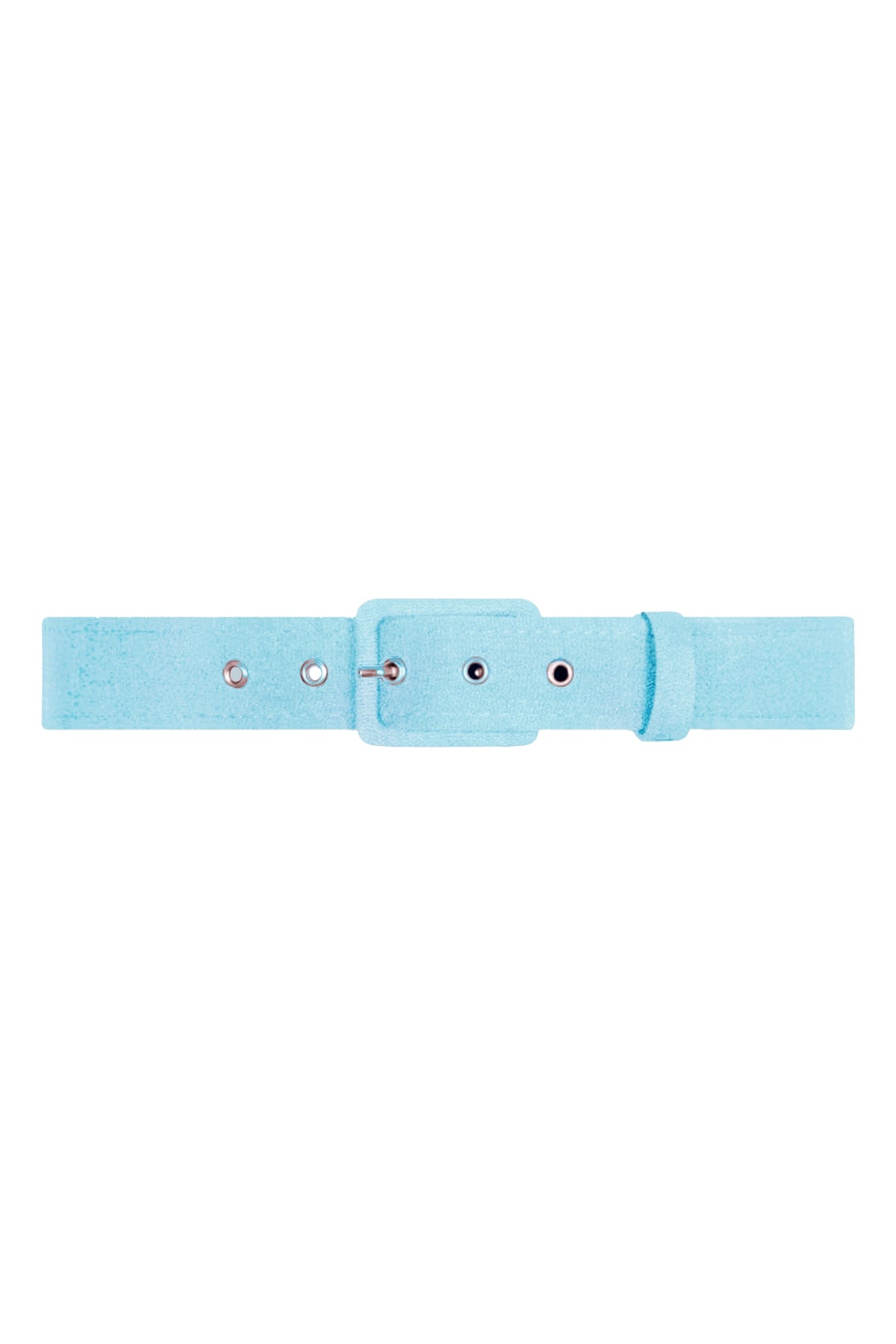 TPDC Classic Belt