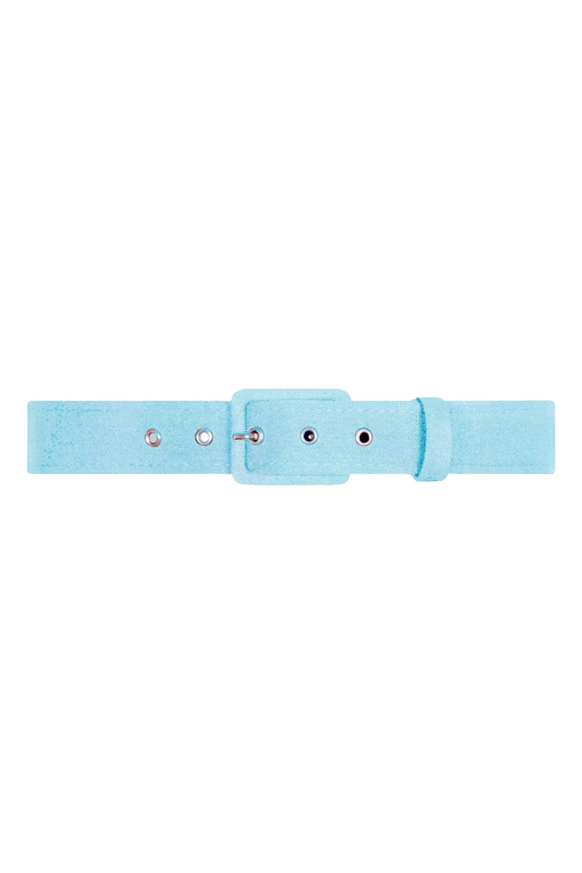 TPDC Classic Belt