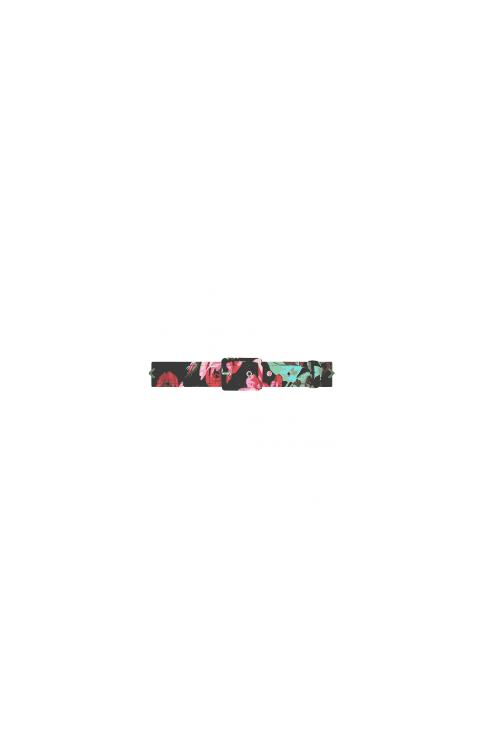 TPDC Classic Belt